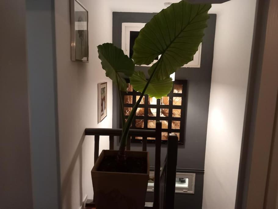 Maison Cosy - 4 Doubles Bergerac